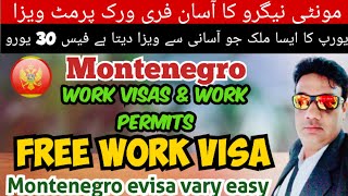 Montenegro work permit visa 2024free work permit Montenegrot montenegro jobs for indianEvisa [upl. by Hayikaz940]