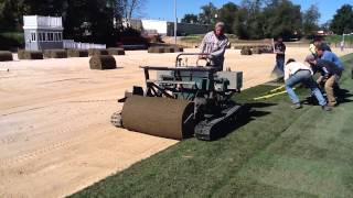 Big Roll Sod Installation [upl. by Hukill]