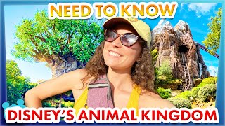 30 Disney World Tips You Must Have in Animal Kingdom [upl. by Sneed]