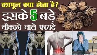 दशमूल क्या होते हैं II आयुर्वेद में दशमूल के फायदे I Dashmoola I Dashmoola Ingredients amp Benefits [upl. by Nerro]