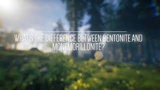 Difference Between Bentonite amp Montmorillonite   What is Montmorillonite  Kutch Bentonite [upl. by Friedland]