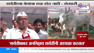 BARAMATI FARMERS SUPPORT BULL RACE [upl. by Lodhia]