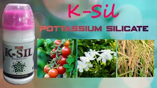 KSIL Liquid Fertilizer  Micronol  Linga Chemical  Pottasium Silicate  Uses  Dose [upl. by Baese]