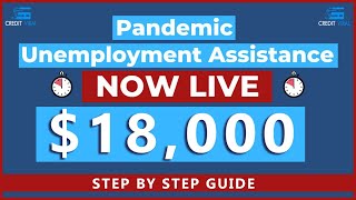 How To Get 18000 PUA Unemployment  Pandemic Unemployment Assistance 2021  Credit Viral [upl. by Korrie]