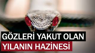 GÖZLERİ YAKUT OLAN YILANIN HAZİNESİ ibretlik hikayeler sesli kitap dini hikayeler hüseyin duru [upl. by Anelam]