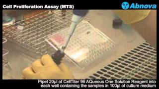 Cell Proliferation Assay MTS [upl. by Ennovi]