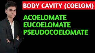 What is body cavity  coelom  Acoelomate pseudocoelomate eucoelomate  All concepts explained [upl. by Sale896]