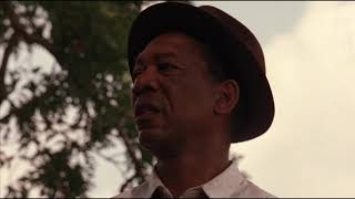 Red Finds Andys Message  The Shawshank Redemption 1994  Movie Clip HD Scene [upl. by Aivyls]