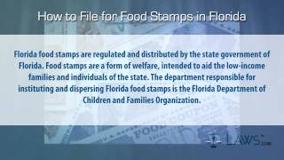 How to File for Food Stamps Florida [upl. by Lirrehs46]