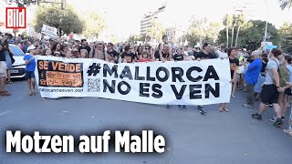 MALLORCA Deutscher Makler heftig bepöbelt [upl. by Ynnek]