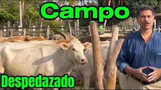 Amlo Destrozó el Campo TAMBIÉN🐄Primero los PobresJodidoscon Dádivas y Sin Producir👨🏼‍🌾 [upl. by Yrtnej]