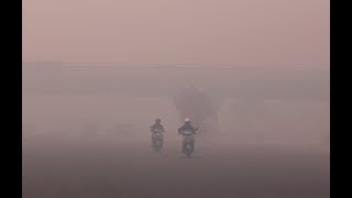 Pollution causes one in six deaths worldwide [upl. by Henning738]