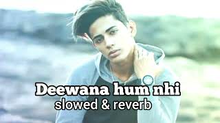 Deewana hum nhi slowed amp reverb Danish Zehen song DZ Fambruh army [upl. by Duhl]