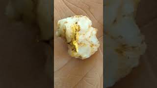 Rare gold specimens diggingfortreasure goldmining gold goldprospecting rockhounding [upl. by Trudi]