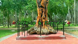 Oluwa Ni  Reekado Banks  Dance Cover By Zefanja amp Cheveley [upl. by Aiahc356]