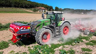 🌱FENDT 933 au SEMIS de COUVERTS💨 Horsch Joker 5HD  ManAGRI 117 [upl. by Moia]