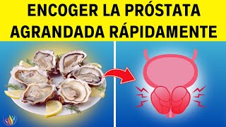 9 Alimentos IMPACTANTES Que Encogen La PRÓSTATA AGRANDADA  Saludable y Feliz [upl. by Eeresed]