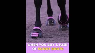 HOOF BOOT FOR HORSES [upl. by Yla]