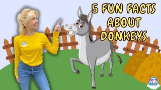 Fun Facts About Donkeys  Fun Facts On The Farm  IVY TV KIDS [upl. by Eveiveneg]