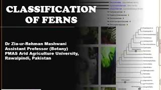 Lecture 17 Classification of Ferns [upl. by Anifur925]