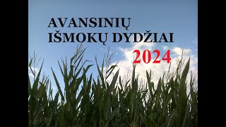 Avansų dydžiai 2024 [upl. by Godiva557]