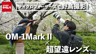 OM SYSTEM OM1 Mark II と 超望遠レンズで野鳥撮影｜従来機種から進化したAF性能はいかに [upl. by Clara]