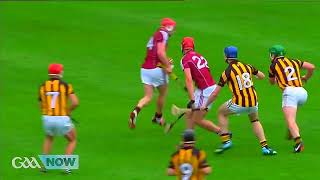 KING HENRY SHEFFLIN CANT OUTSHINE THE KING OF KINGS JOE CANNING  KILKENNY V GALWAY 2014 LEINSTER [upl. by Adnirim205]