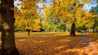 Pittville Park Cheltenham  Autumn Colours  2015 [upl. by Erlin]