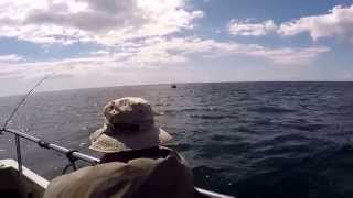 Skerries Bank Dartmouth Plaice Fishing [upl. by Normy]