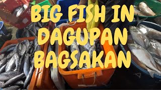 2024 PART 2 OF MALINGAS AND BAGSAKAN IN DAGUPAN PANGASINAN [upl. by Maighdiln]