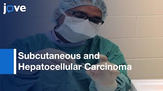 Subcutaneous and Hepatocellular Carcinoma Xenografts  Protocol Preview [upl. by Nnasus531]