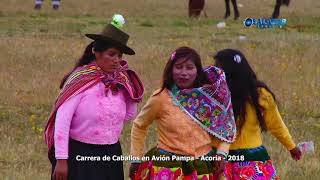 Campeón de campeones Avión de Ccarhuacc en Avión Pampa  Acoria 2018 [upl. by Anahsek]