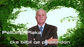 PELLUMB PLAKA  CKE BILBIL QE PO VAJTON [upl. by Tonjes]