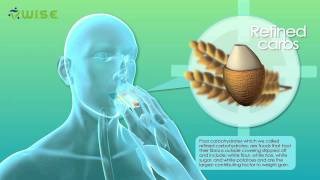 3D medical animation  Why people get fat  Warum Menschen Gewicht zunehmen  designidentity [upl. by Mame]