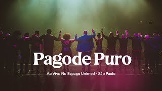 Péricles  Pagode Puro Ao Vivo no Espaço Unimed [upl. by Nannah754]