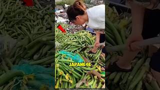 Why Japanese Farmers Throw Out Green Veggies 😳 [upl. by Ursala]