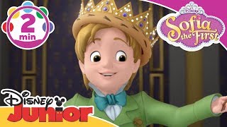 Sofia The First  King For A Day  Be Your Own King  Song  Disney Junior UK [upl. by Eedya]