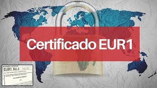 🎯 Cómo rellenar el Certificado de Origen EUR1 [upl. by Shishko]