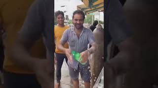 hygienic street food preparation  sep 2024 😂😂😂 [upl. by Spark42]