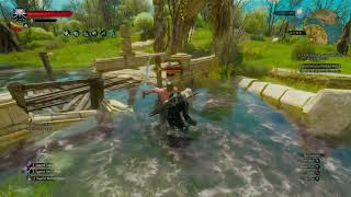 The Witcher 3 Deathmarch  Arthach Palace Ruins Hanse Base No DamageNo Quen NG [upl. by Lorou]