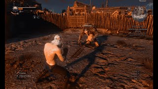 Beating the Errant Troll at level 22 with Zero Hits Taken  The Witcher 3 Wild Hunt [upl. by Christye898]