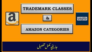 VL 28 How to Choose Trademark Class at USPTO amp Product Catagory at Amazon [upl. by Ferrigno]