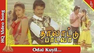 Odai Kuyil Video Song Thalattu Padava Tamil Movie Songs  Parthiban  Rupini  Pyramid Music [upl. by Cahan]