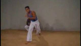 capoeira training 1 [upl. by Tija]