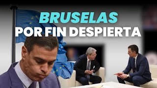 Bruselas por fin despierta [upl. by Wolsky]