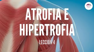 4 ATROFIA E HIPERTROFIA MUSCULAR FISIOLOGÍA MUSCULAR [upl. by Idnib123]