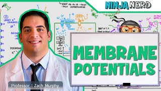 Neurology  Resting Membrane Graded Action Potentials [upl. by Earley]