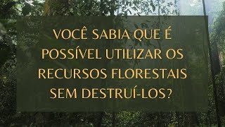 VOCÊ SABIA QUE É POSSÍVEL UTILIZAR OS RECURSOS FLORESTAIS SEM DESTRUÍLOS [upl. by Mcferren375]