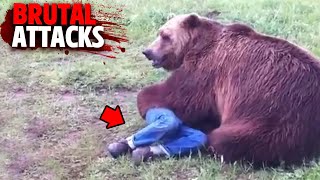 The Most HORRIFYING Bear Attacks MARATHON [upl. by Emerald]