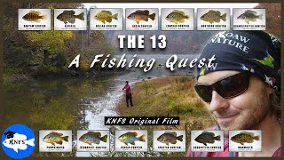 The 13  A Fishing Quest for All the Common Sunfishes [upl. by Jaco]